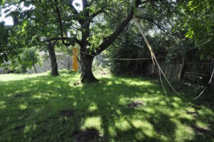 a tree on a sunny green lawn, on which there is hanging a dress made of sackcloth, with a paper line of words sewn through the dress, and trailing over the tree and out of the picture frame