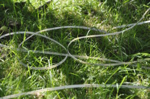 trails of paper with words printed on them, making coils on the grass